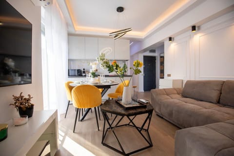Kitchen or kitchenette, Living room, Seating area, Dining area, air conditioner