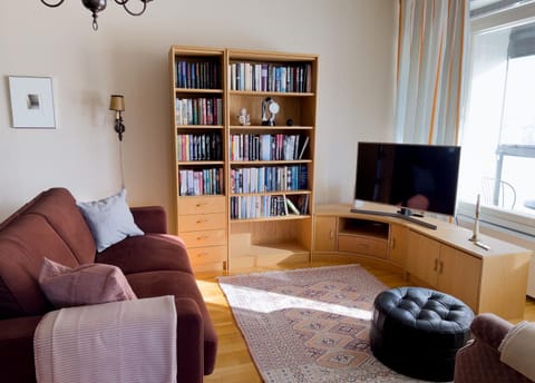 Library, TV and multimedia, Living room, Seating area, Evening entertainment