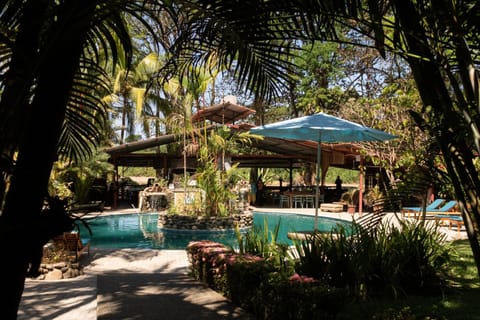 Restaurant/places to eat, Natural landscape, Garden, Pool view, Swimming pool, sunbed