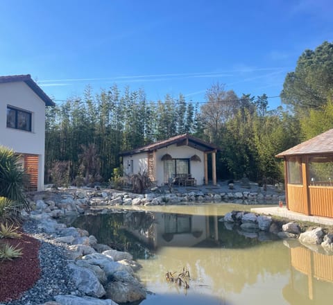 Lake view
