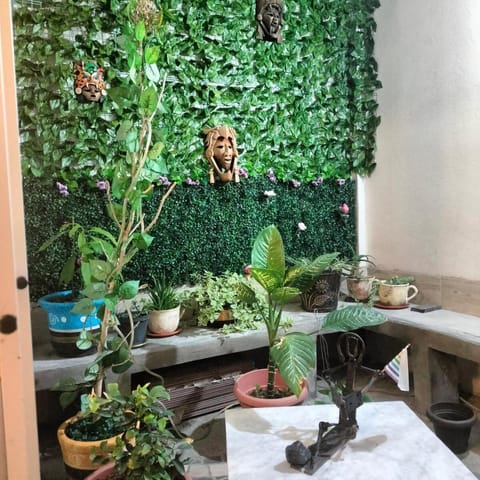 Casa Cualli House in Pachuca