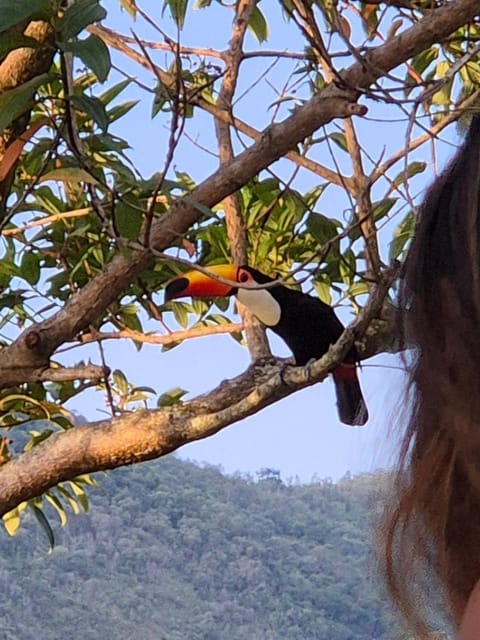 Sítio Recanto da Paz Casa Amarela House in State of Rio de Janeiro
