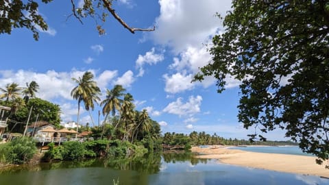 Lake view