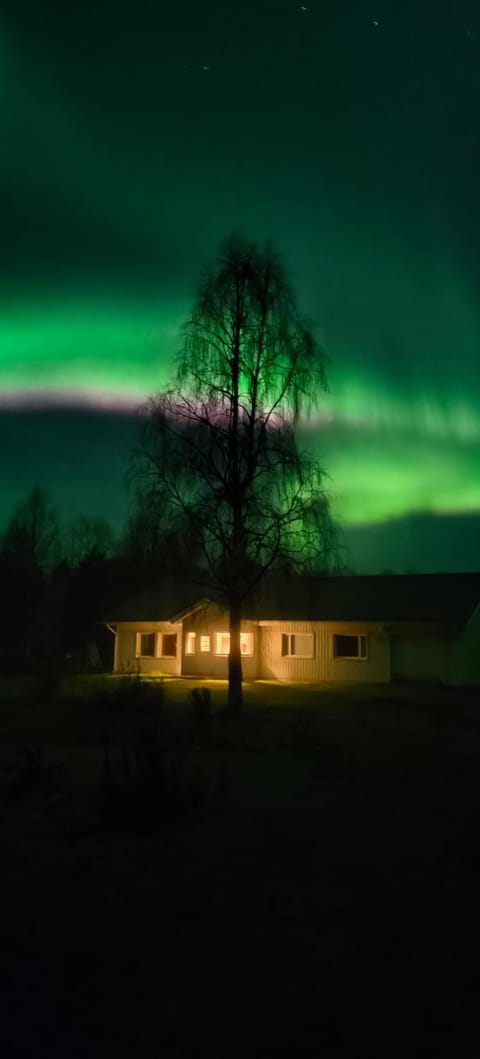 Property building, Night, Autumn