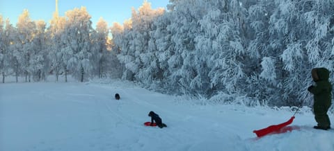 Day, Natural landscape, Activities, Sports, young children