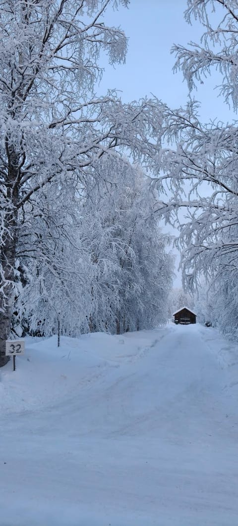 Winter, Street view