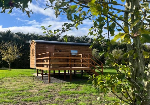 Property building, Day, Garden view