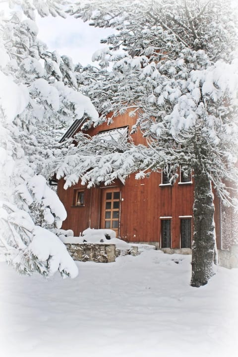 Day, Natural landscape, Winter, On site