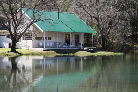 Lake view
