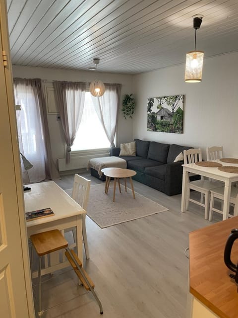 Tilava kaksio saunalla Apartment in Finland