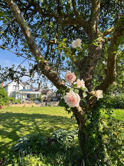 Spring, Garden, Garden view
