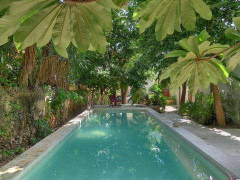Swimming pool, Swimming pool