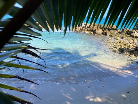 Day, Natural landscape, View (from property/room), Beach, Sea view