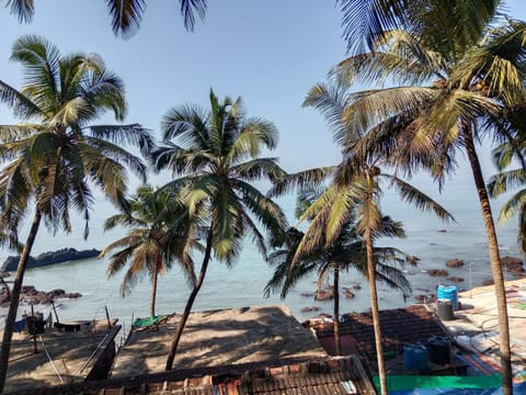 Natural landscape, Beach, Sea view