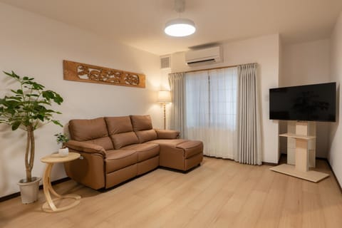 TV and multimedia, Living room, Seating area, air conditioner