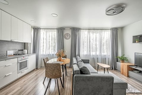 Kitchen or kitchenette, Living room, Dining area, oven, stove, kitchen