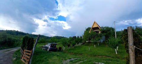 Negovanovic Vikendica Apartment in Serbia