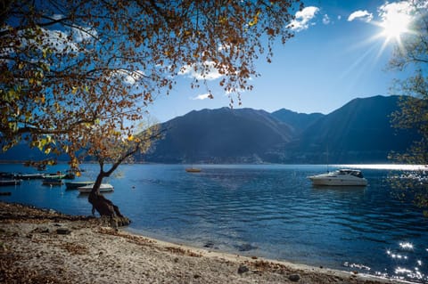 Natural landscape, Beach, Autumn, Lake view