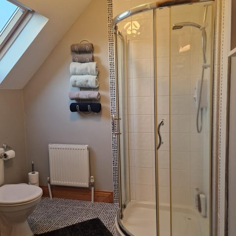 Aunty Ellie's House in Ireland