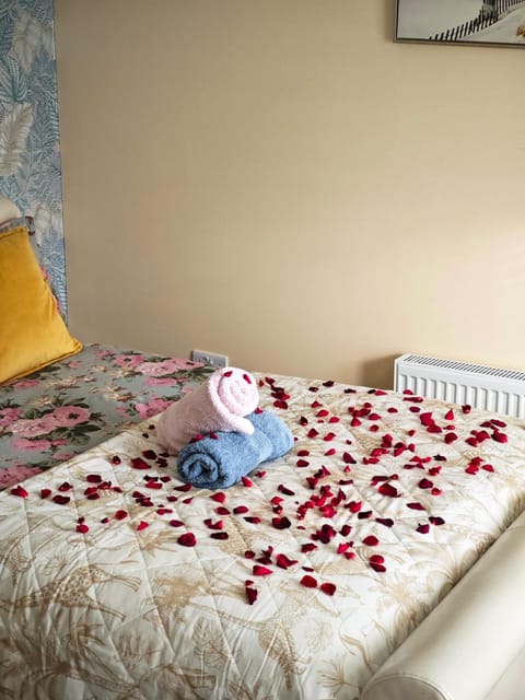 Galway Paradisus Vacation rental in Galway