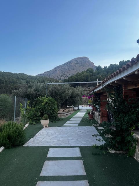 Garden, Mountain view