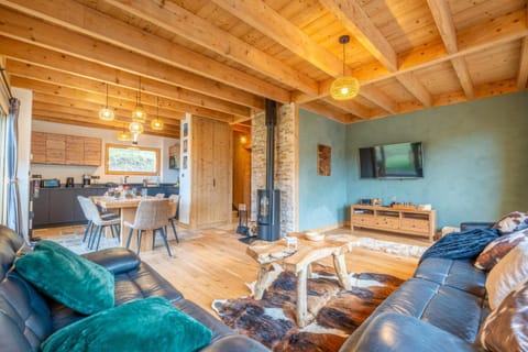 Kitchen or kitchenette, Living room, Dining area, Evening entertainment, fireplace, fireplace, stove, kitchen