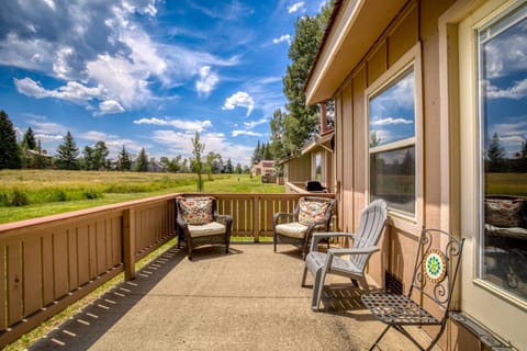 145 Davis Cup #4039 House in Pagosa Springs