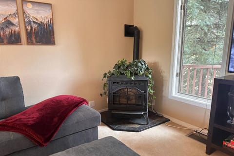 301 Handicap ("Birdie's Nest") House in Pagosa Springs