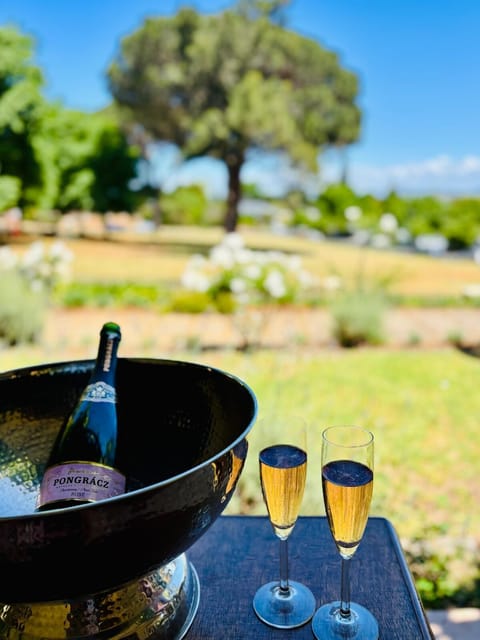 Family home with table mountain view and pool House in Stellenbosch