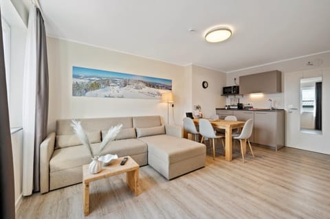 Kitchen or kitchenette, Living room, kitchen, kitchen