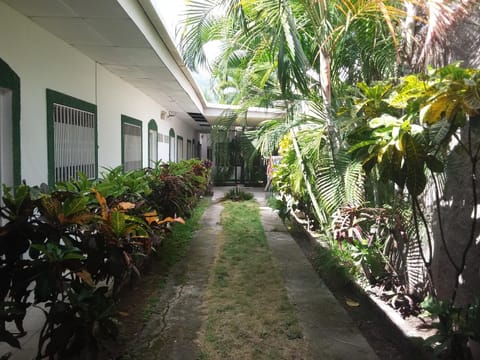 Day, Garden