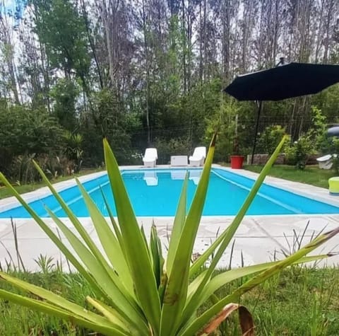 Garden, Swimming pool