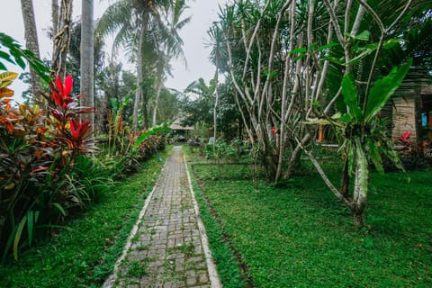Spring, Day, Natural landscape, Garden, Garden view