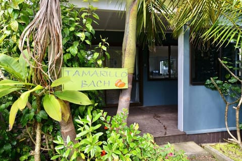 Tamarillo Bach - Coastal Comfort Apartment in Northland