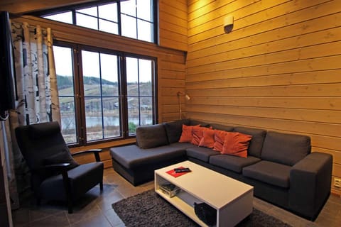 Himoskunkku Villa in Finland