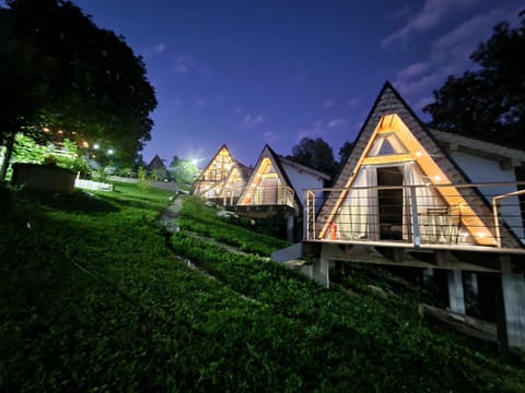 Night, Natural landscape, Garden view
