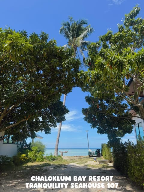 Day, Natural landscape, Sea view