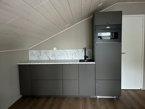 Kitchen or kitchenette, kitchen