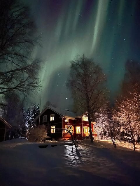 Property building, Night, Natural landscape, Winter