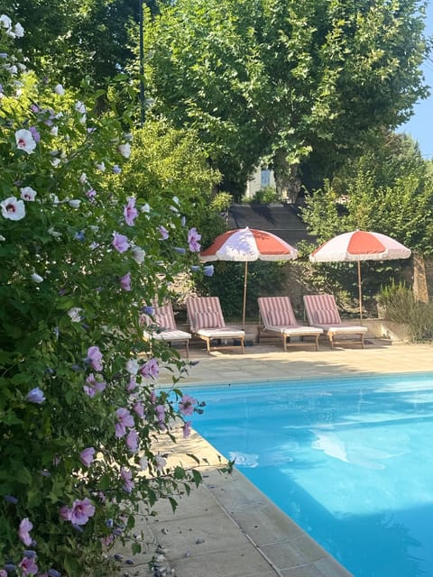 Pool view, Swimming pool, sunbed