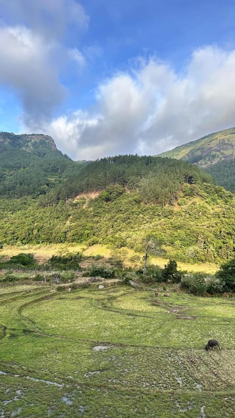 Day, Natural landscape, Mountain view