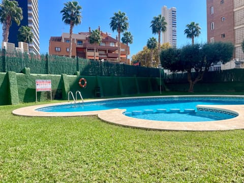 Garden, Pool view, Swimming pool
