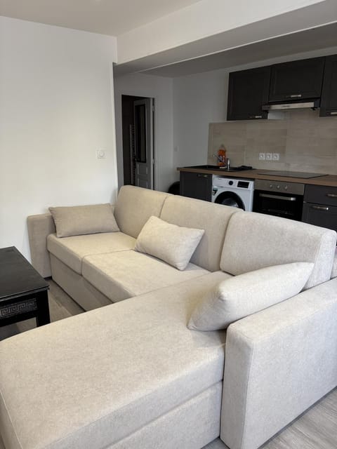Kitchen or kitchenette, Living room, Seating area, stove