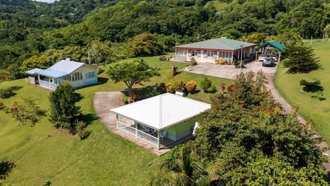 Property building, Spring, Day, Natural landscape, Bird's eye view, Garden, Garden view, Mountain view