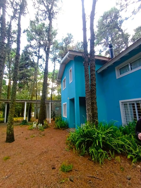 Natural landscape, Garden view