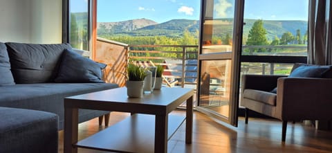 View (from property/room), Balcony/Terrace, Living room, Seating area, Mountain view