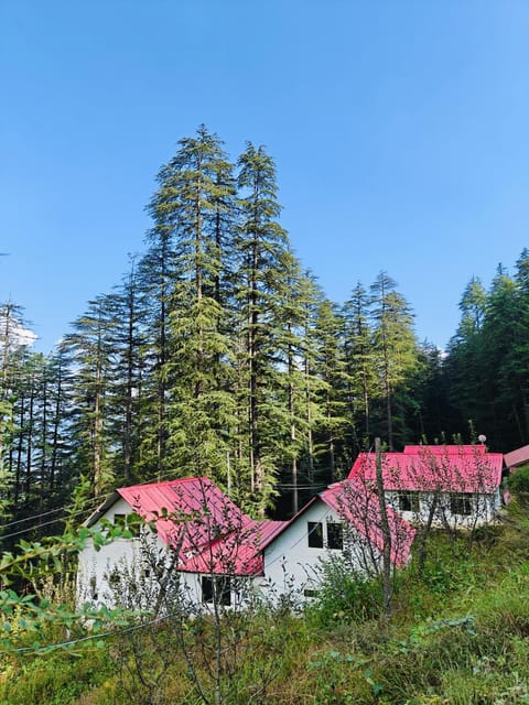 Natural landscape, Mountain view