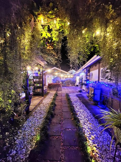 Night, Natural landscape, Garden, Garden view