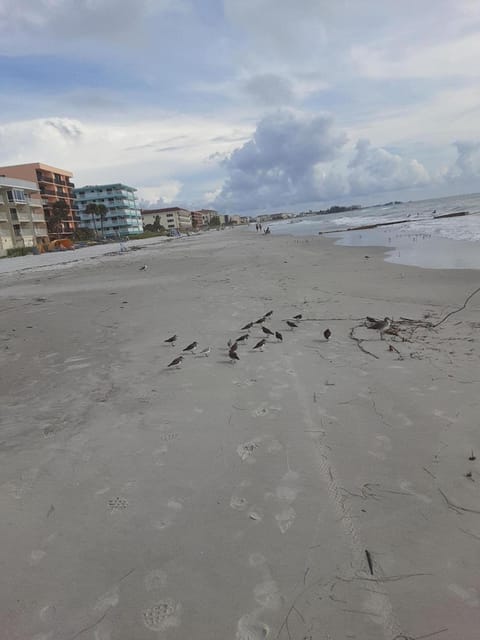 Day, Natural landscape, Beach, Sea view