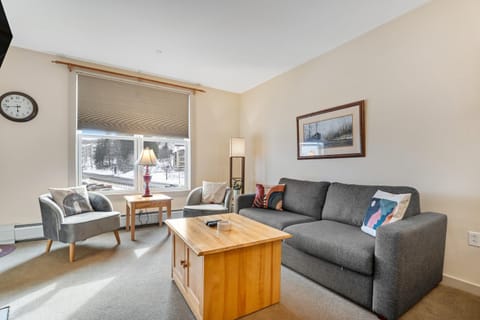 Long Trail House 368 House in Winhall